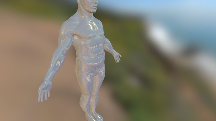 Human Mesh 3D Model