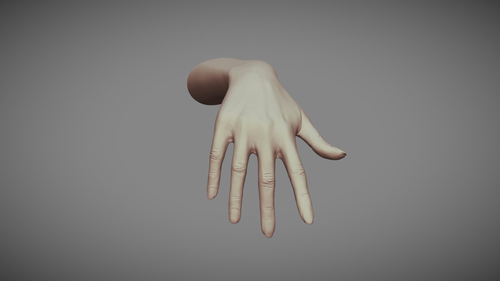 Realistic Female Hand 6 Buy Royalty Free 3d Model By Rumpelstiltskin Rumpelshtiltshin 