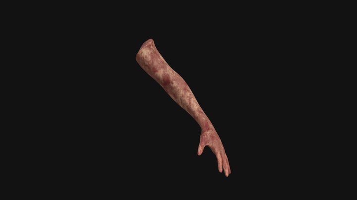 Hand 3D Model