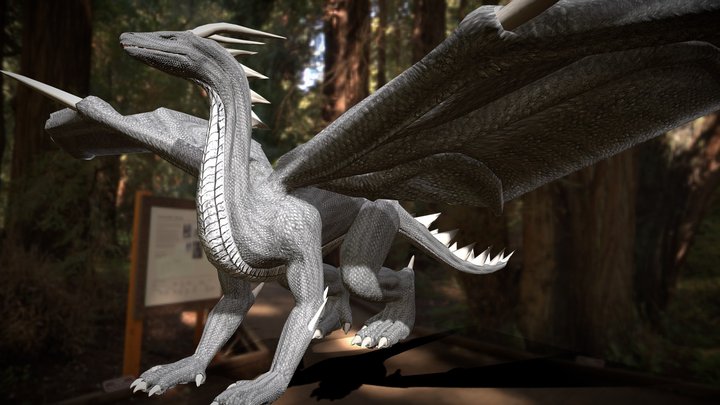 dragon rigged 3D Model
