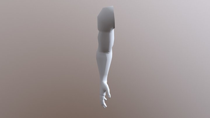 Arm Test 3D Model