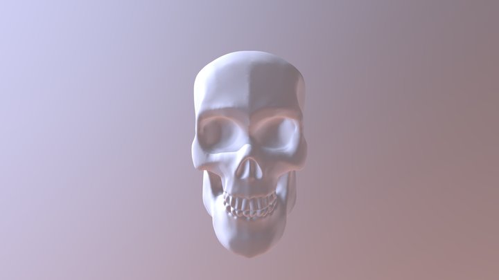 Skull Practice 3D Model