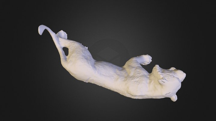 Kitty_Obj2 3D Model