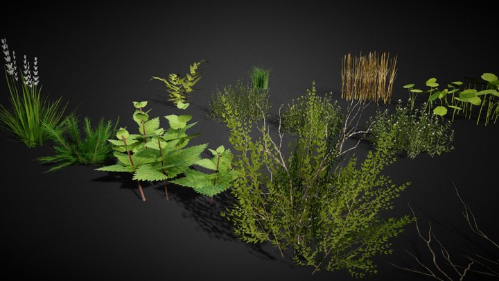Ground Cover Foliage Asset Pack 3D Model