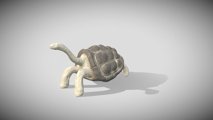 Benjamin Dawe's SCNC 2022 Tortoise 3D Model