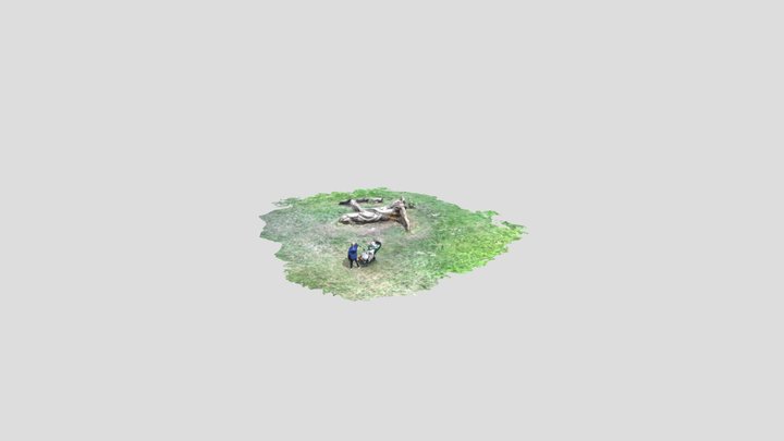 Carved Tree Trunk in Central Park, Plymouth, UK 3D Model