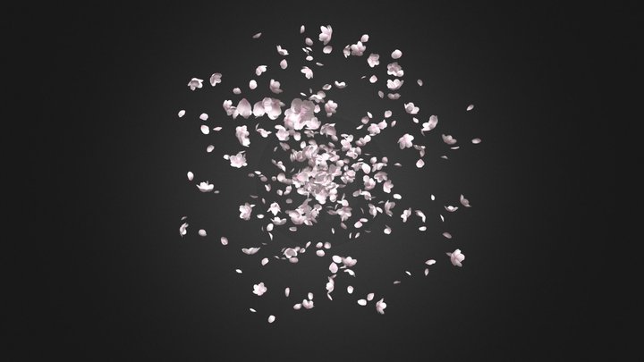 Falling Sakura Petals – Floral FX Loop FVART3D 3D Model