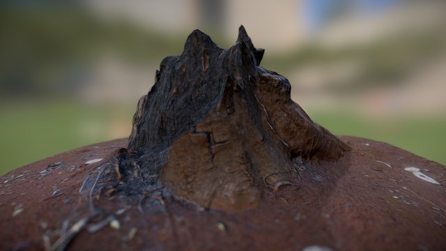 Burnt Stump 3D Model