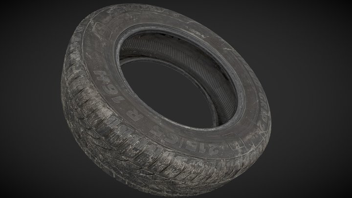 Tire (RAW 3d scan) 3D Model