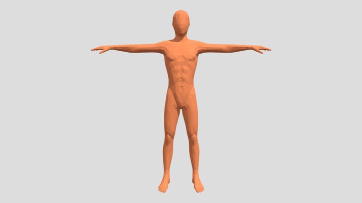 Low Poly Man 3D Model