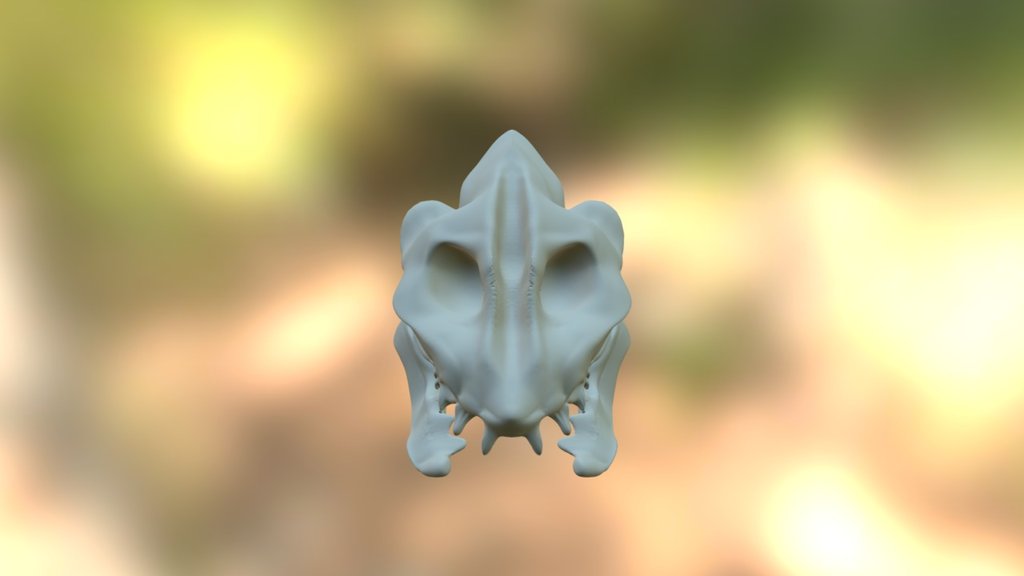 Gasterblaster - 3D model by Sckolly (@sckolly.sckolly) [ebabd6c ...