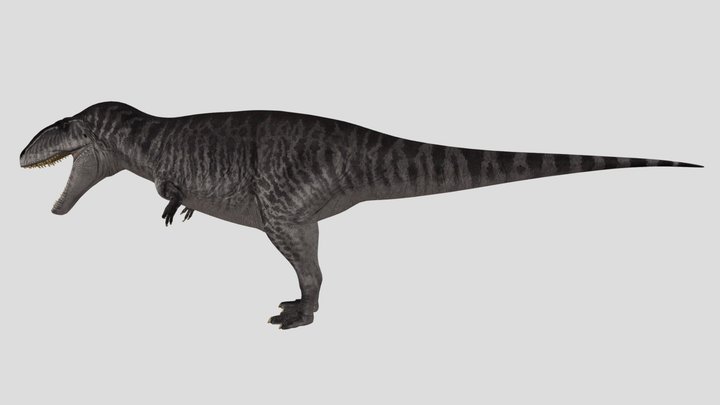 Cachara Female Accurate Rigged (Brackish skin)