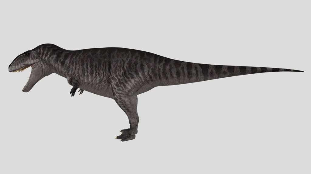 Cachara Female Accurate Rigged (Brackish skin)