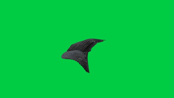 3/9 Wig01LeftSidePart02 3D Model