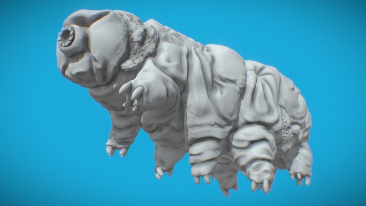 Tardigrade for Print 3D Model