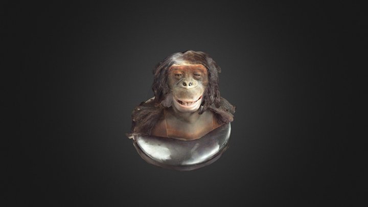 New Personmy monkey 3D Model
