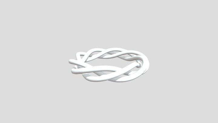 8,3 Torus Knot 3D Model