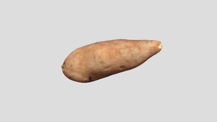 potato_5 3D Model