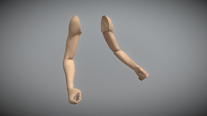 FPS Hands (rigged) by EvolveGames 3D Model