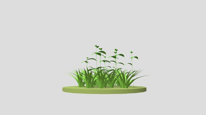 Lo poly grass 3D Model
