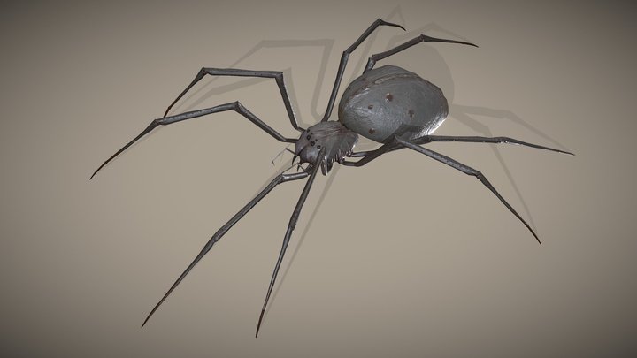 Spider Monster - with animations 3D Model