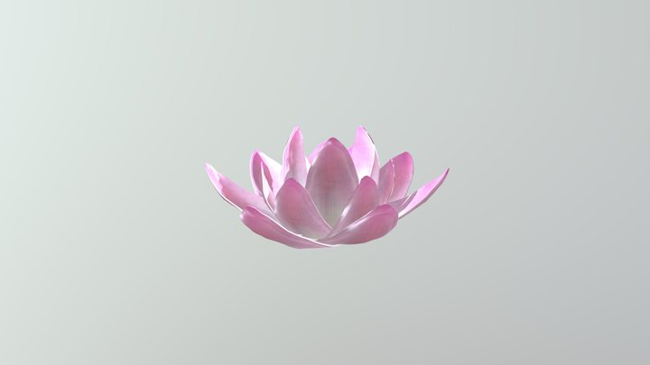 Lotus 3D Model