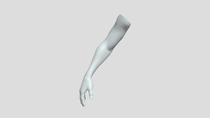 Low Poly Arm 3D Model