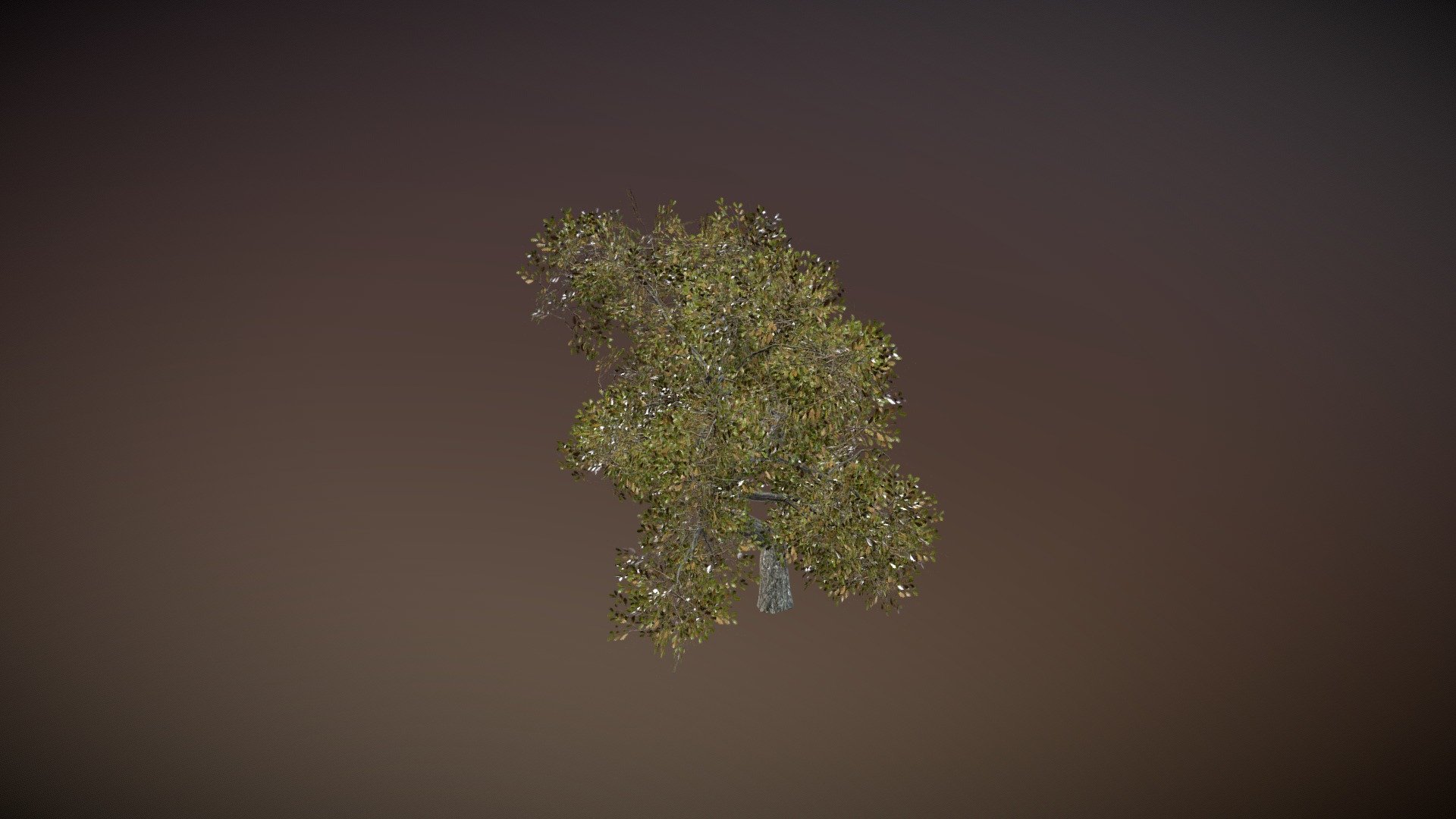 Tree for CarX (SpeedTree) - 3D model by Tomato Pixels (@tomato_pixels ...