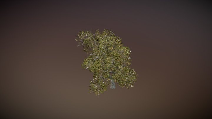 Tree for CarX (SpeedTree) 3D Model