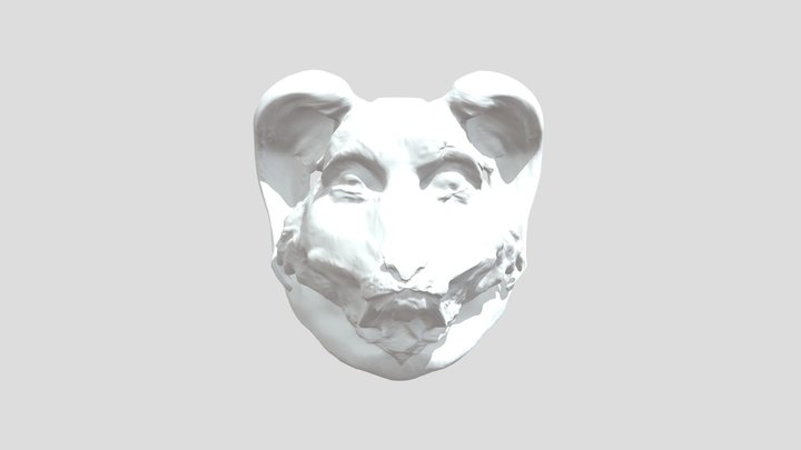 Custom Dr_ Tic Spice Scar OC Action Figure Head