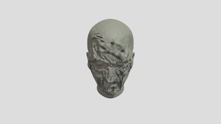 Face 3D Model