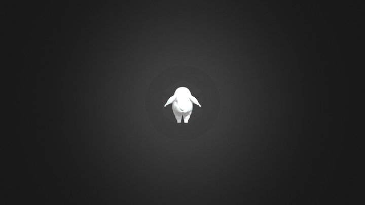Rabbit 3D Model