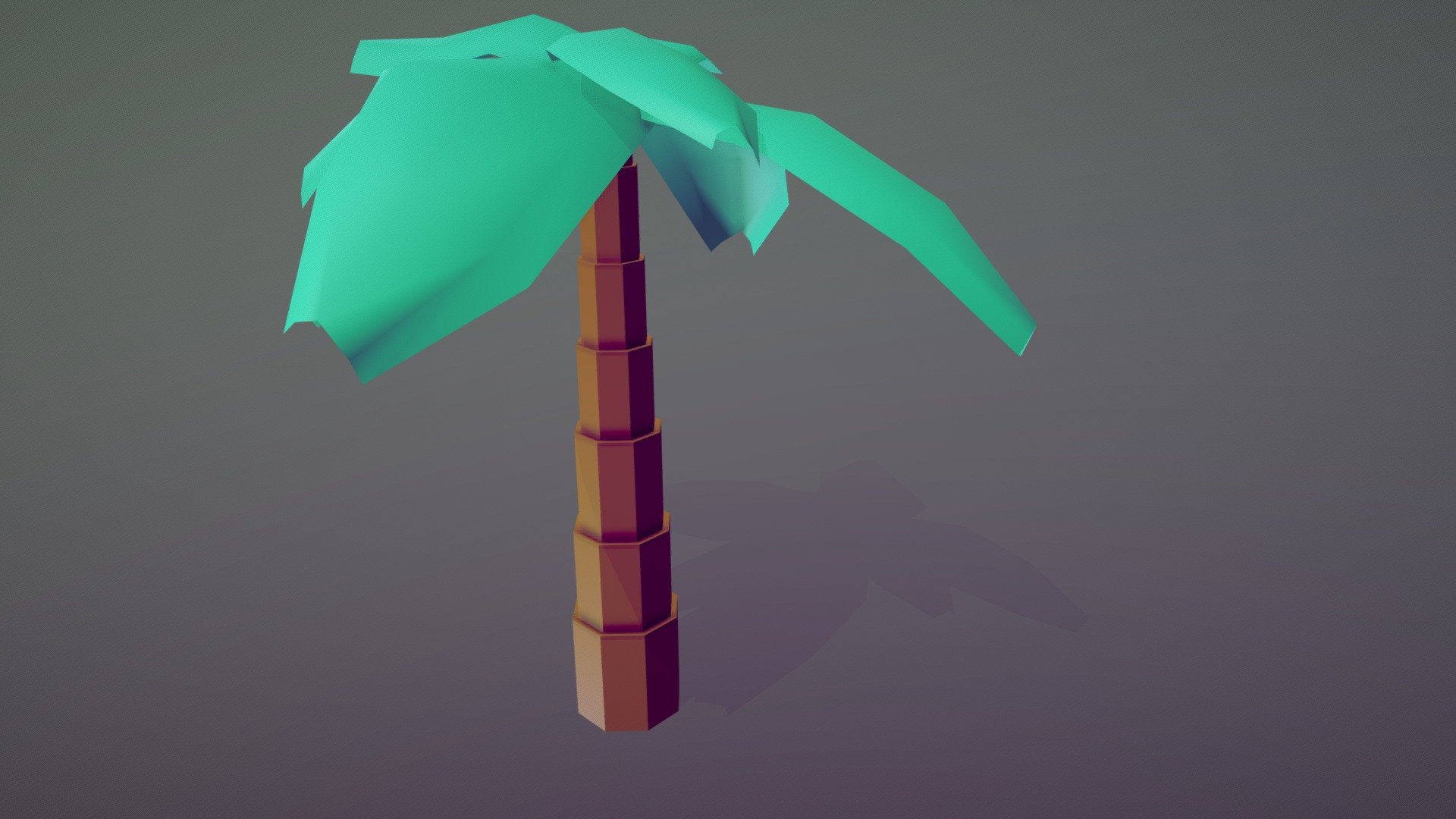Palm Tree / Palmeira