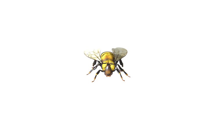 Bee 3D Model