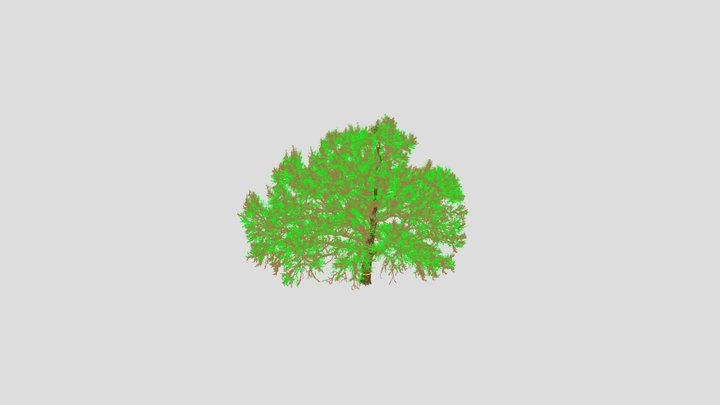 Tree 0007 3D Model