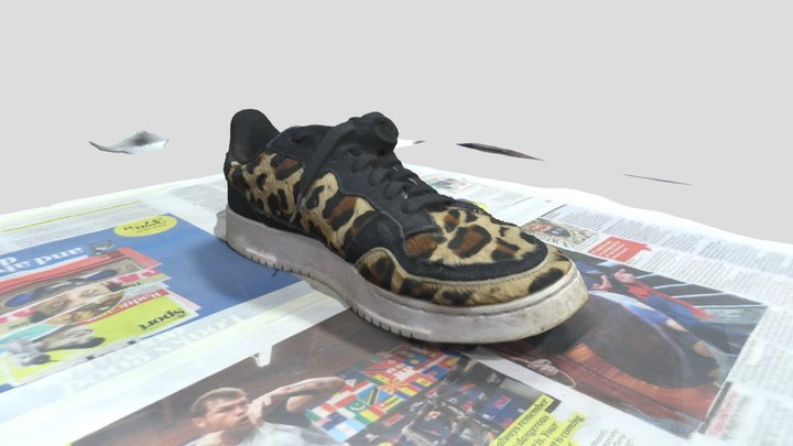 Leopard Shoe 3D Model