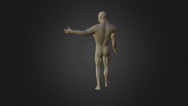 Posado Retopology 3D Model