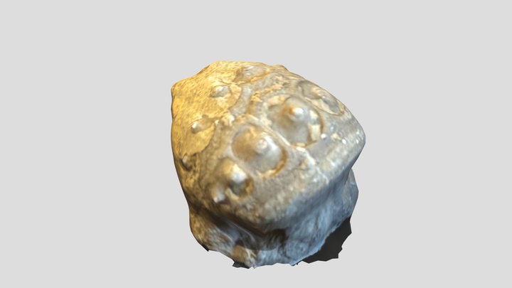crinoid1 3D Model