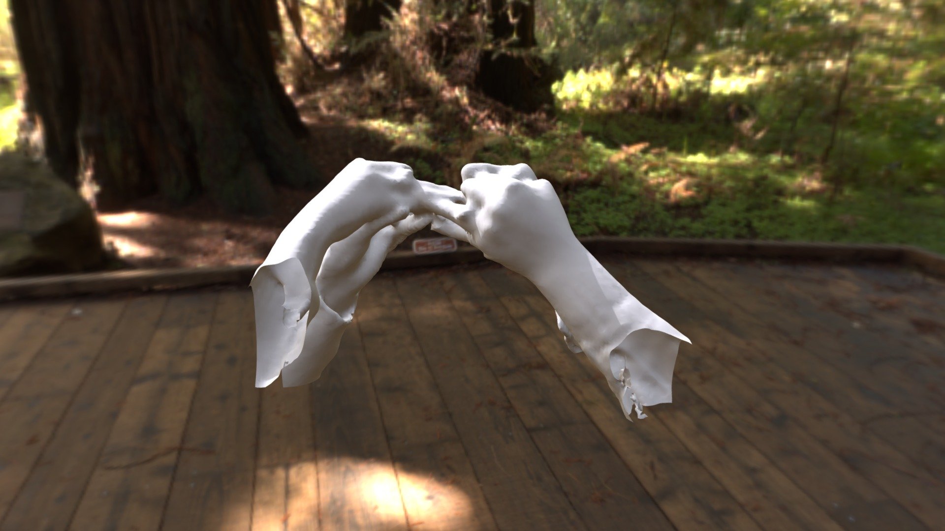 Model