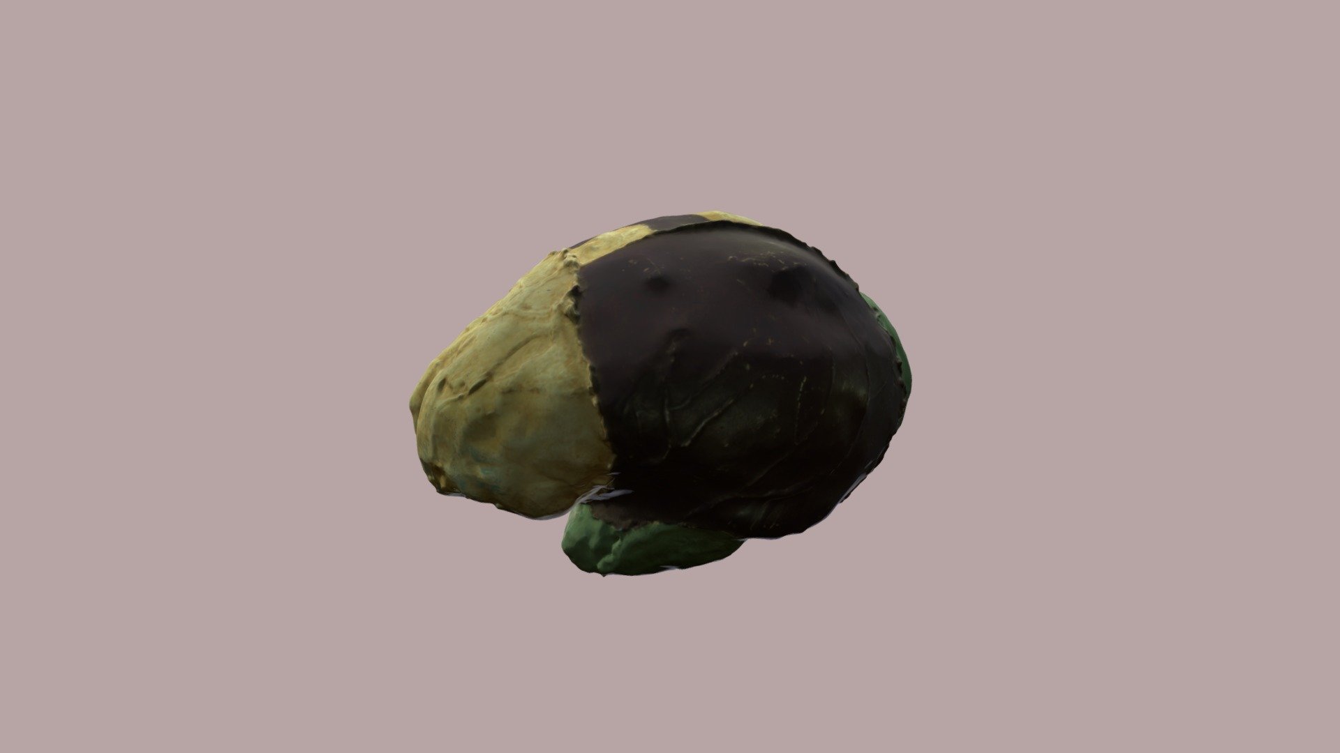 Endocrane Homo erectus (Tautavel)
