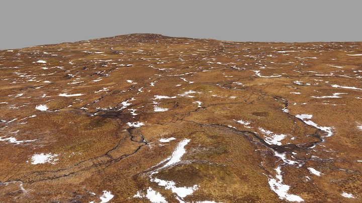 Auchlyne - Simplified 3d Mesh 3D Model