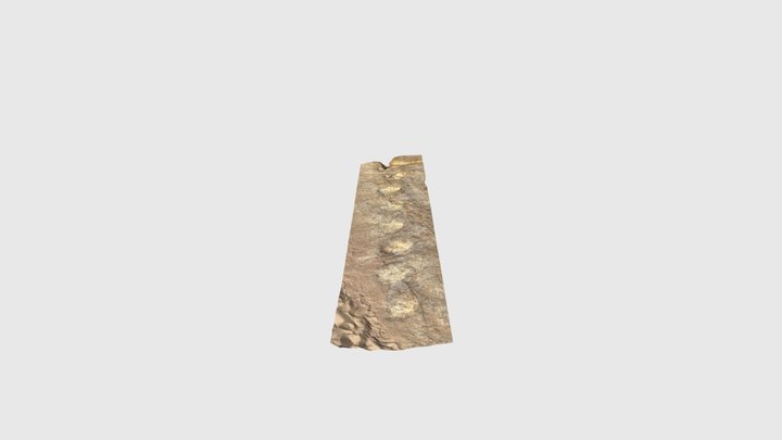 Dinossaur footprints 3D Model
