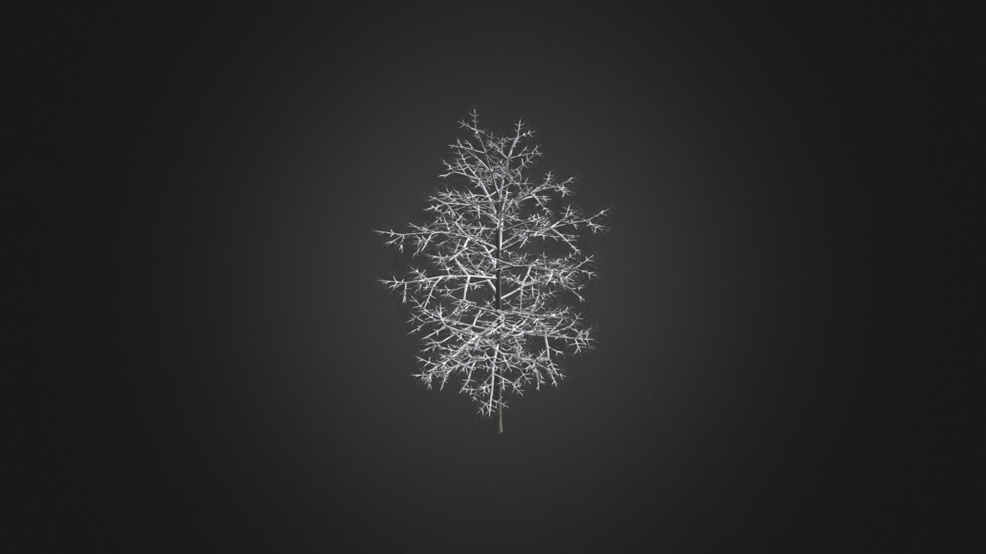 3D model Common Lime 8M (Winter) - This is a 3D model of the Common Lime 8M (Winter). The 3D model is about a fireworks display in the sky.