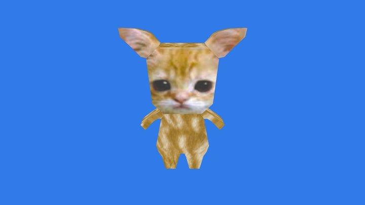Box Cat 3D Model