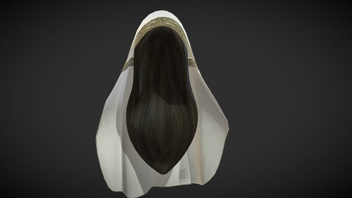 Female Hair And Veil 3D Model