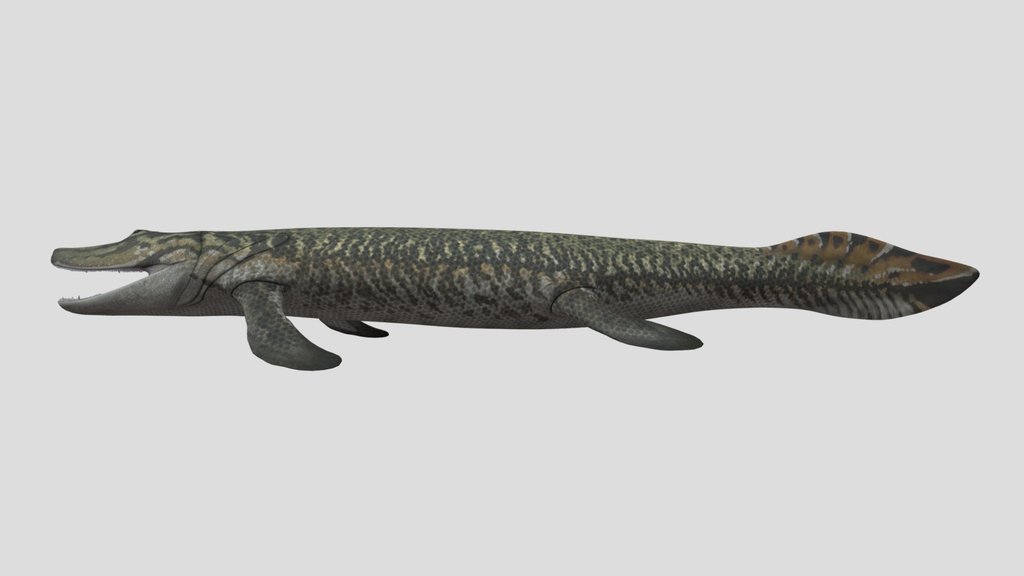 Tiktaalik Accurate Rigged