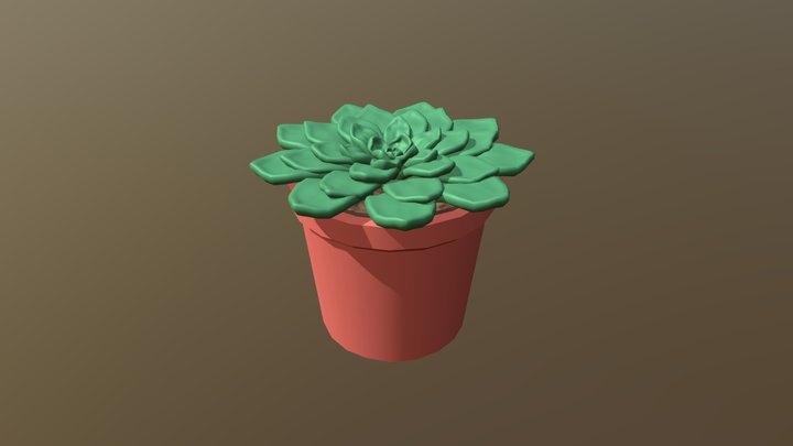 Succulent Plant 3D Model