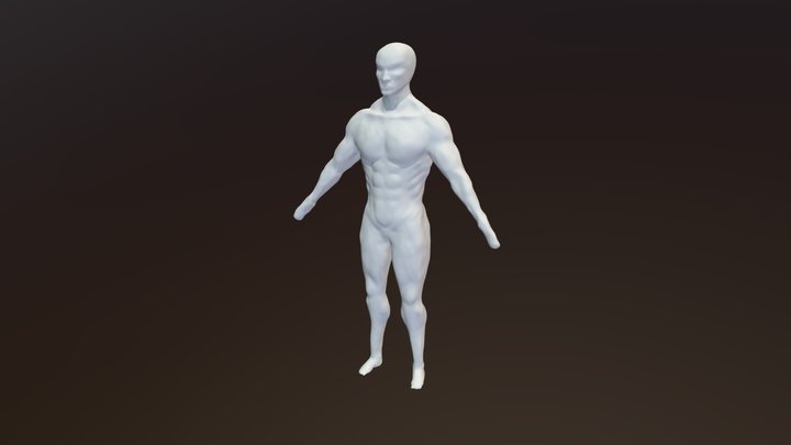 Male Anatomy Study 3D Model