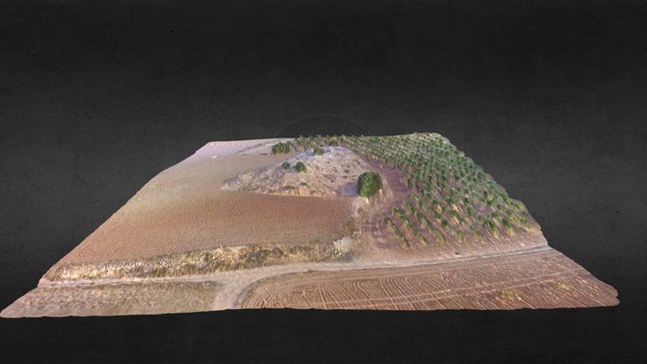 Motilla de Ledaña 3D Model