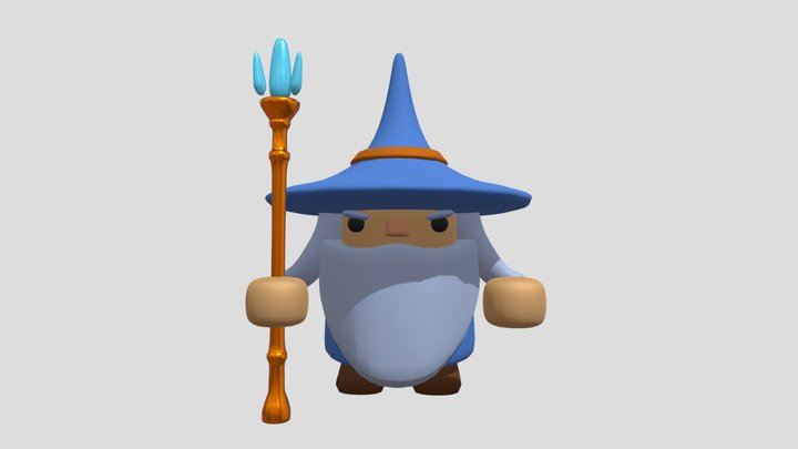 RPG Wizard Rigged 3D Model